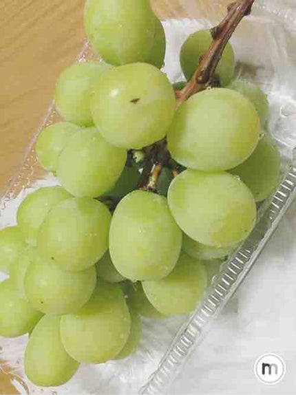 ぶどう🍇