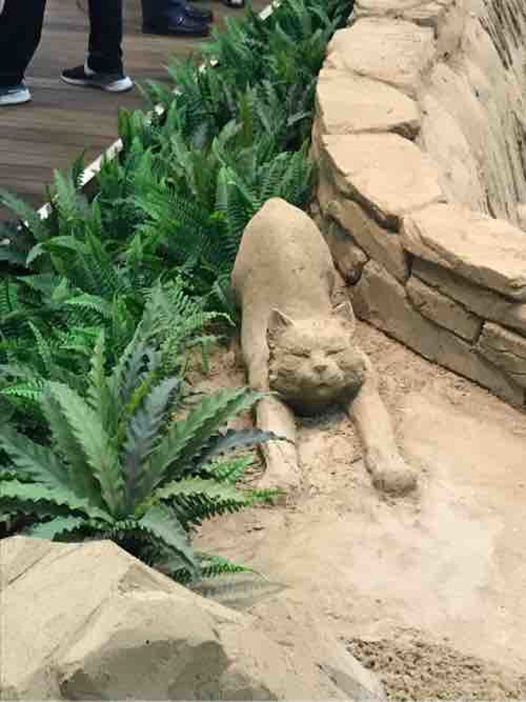 colorful_sounds_0kq0