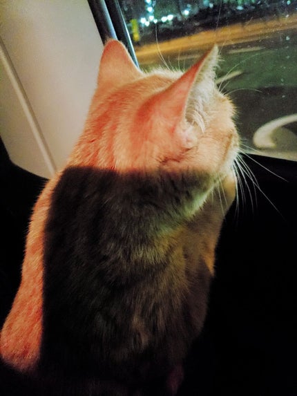 パラ