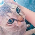 ららclっしゅ