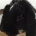 減量中かすみん