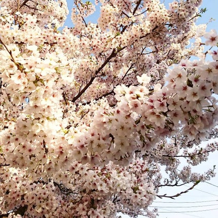 ちか@コスメ購入節約中⚠️