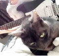 ぺーたー