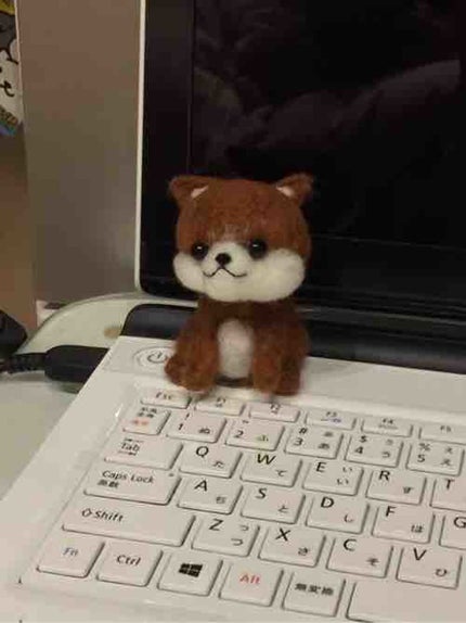 ポンポンタイムズ