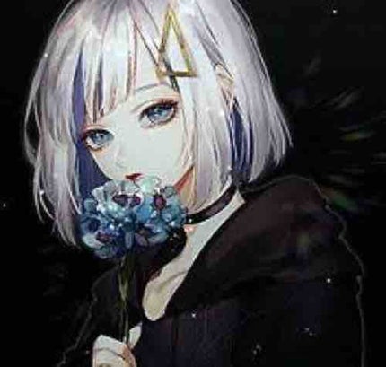 🌙*.。