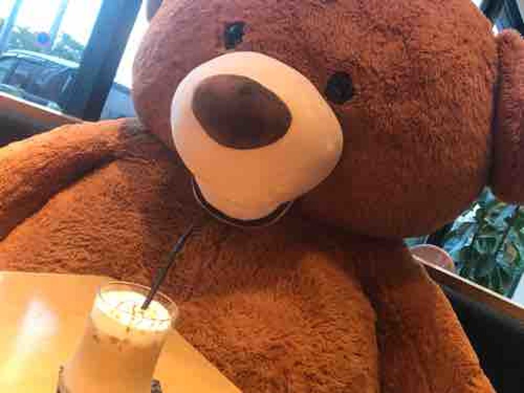 𝓡𝓾𝓬𝓱𝓳𝓪