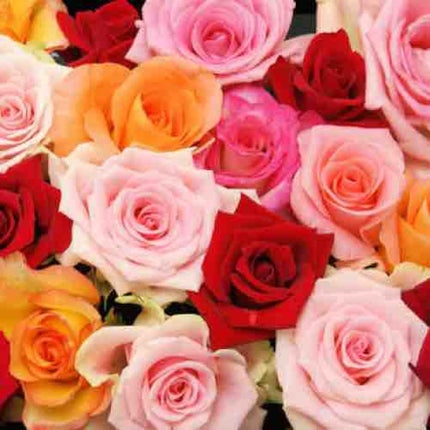 う ど ん : )♡˖