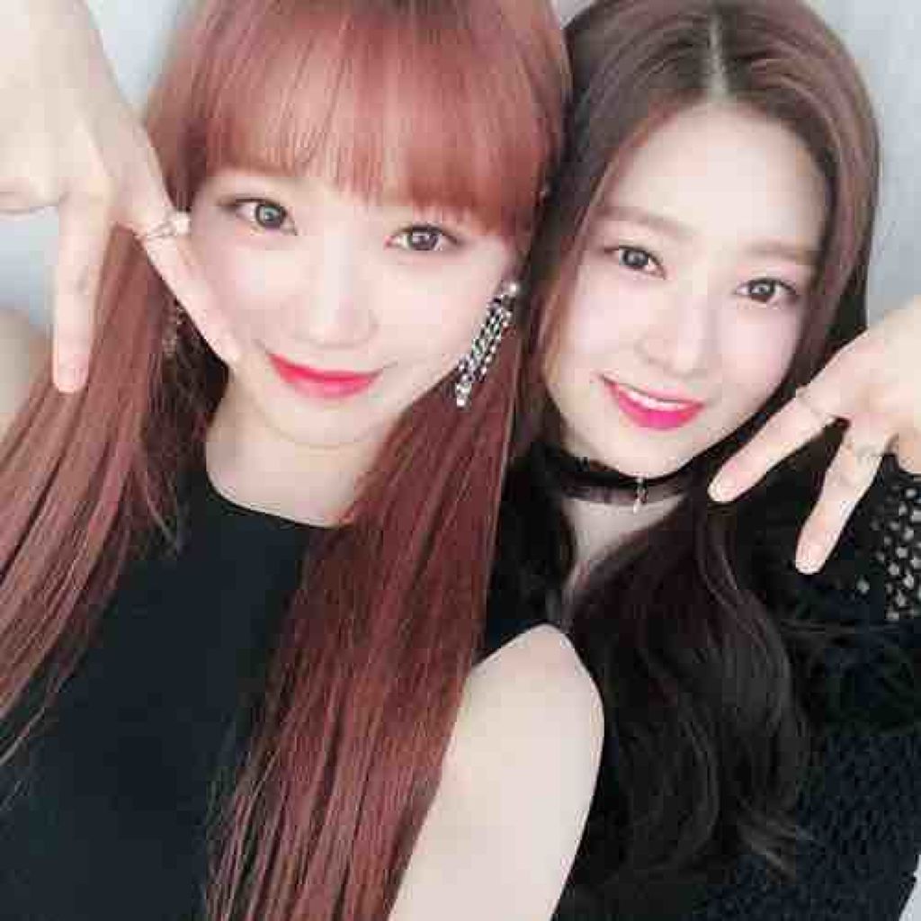 fantastic_gloss_l6fs