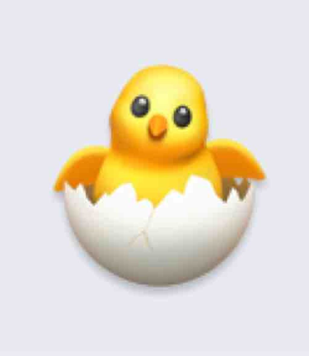 🐣のん🐣 
