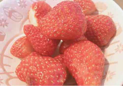 딸기🍓