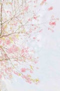 せい