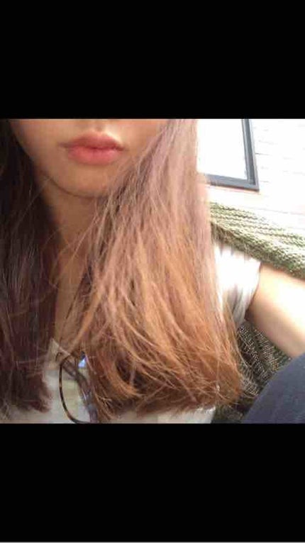 ❁かもみーる❁