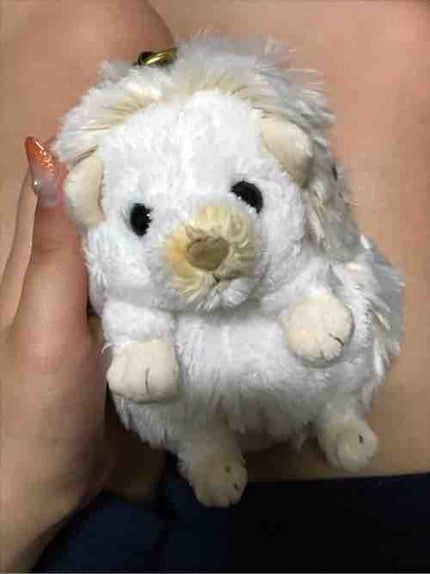 はなちゃん🦔