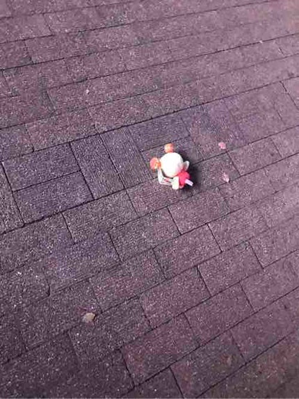 金目の煮付けちゃん☀️