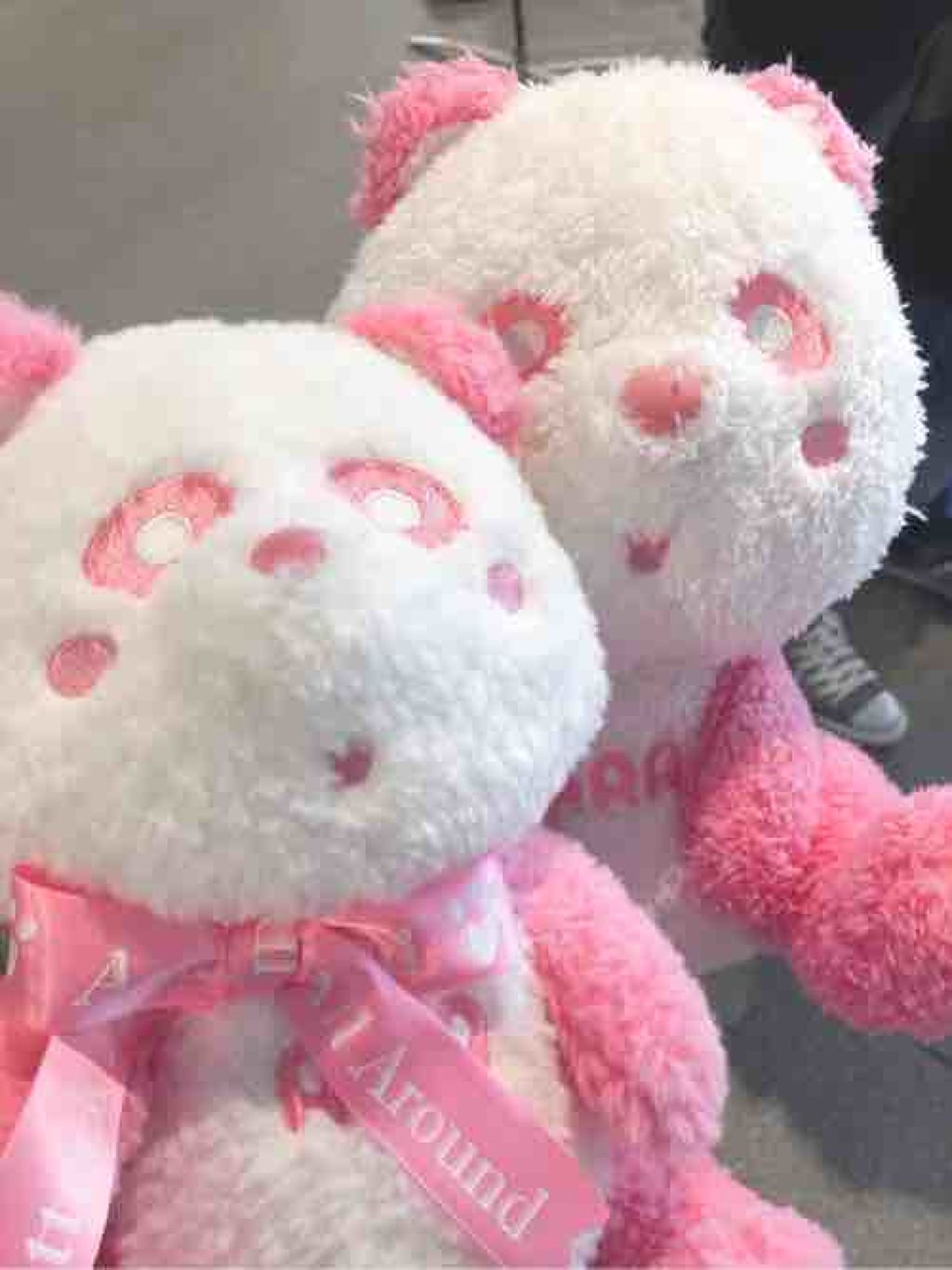 ぽんず*:..｡♡*ﾟ