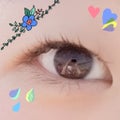 のらぴ