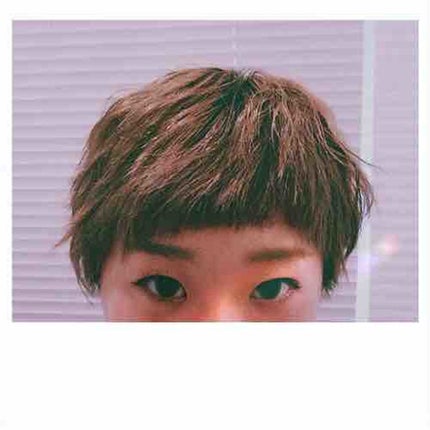 きのこ