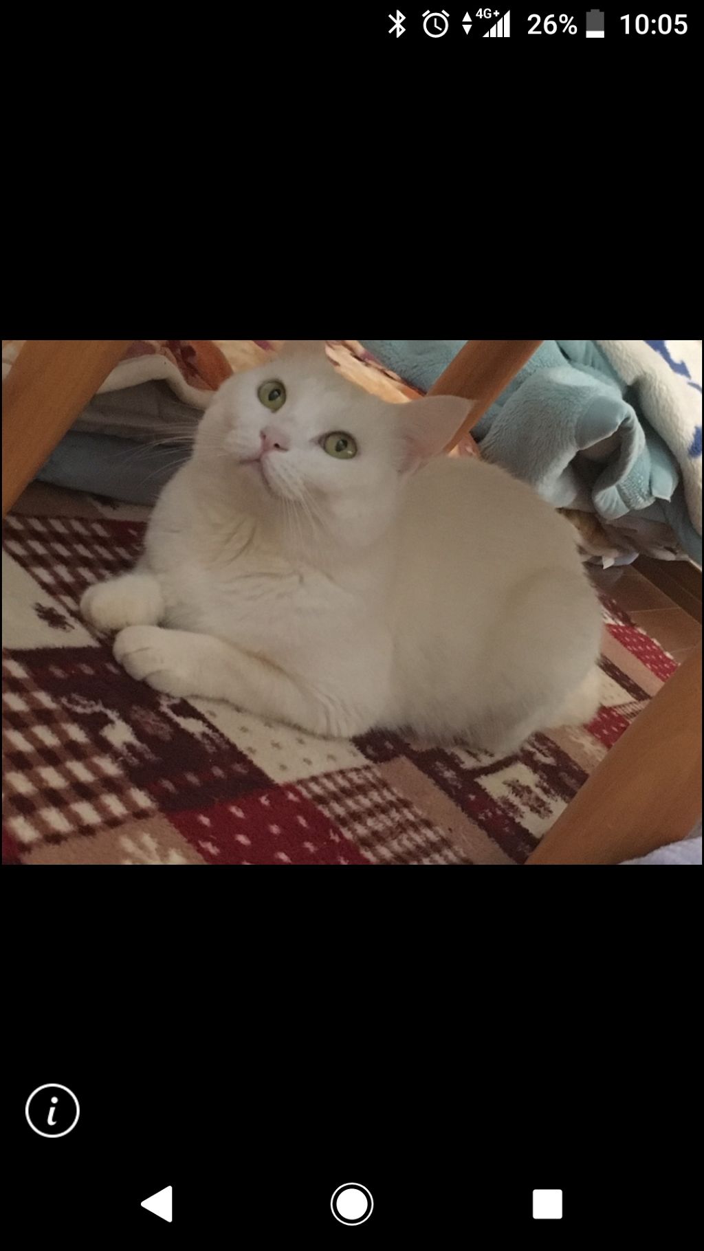 💛💚❤️💜💙