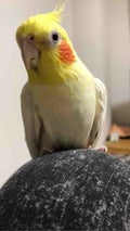ゼウス◎▼◎
