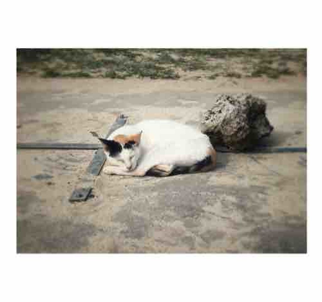 colorful_perfume_1if