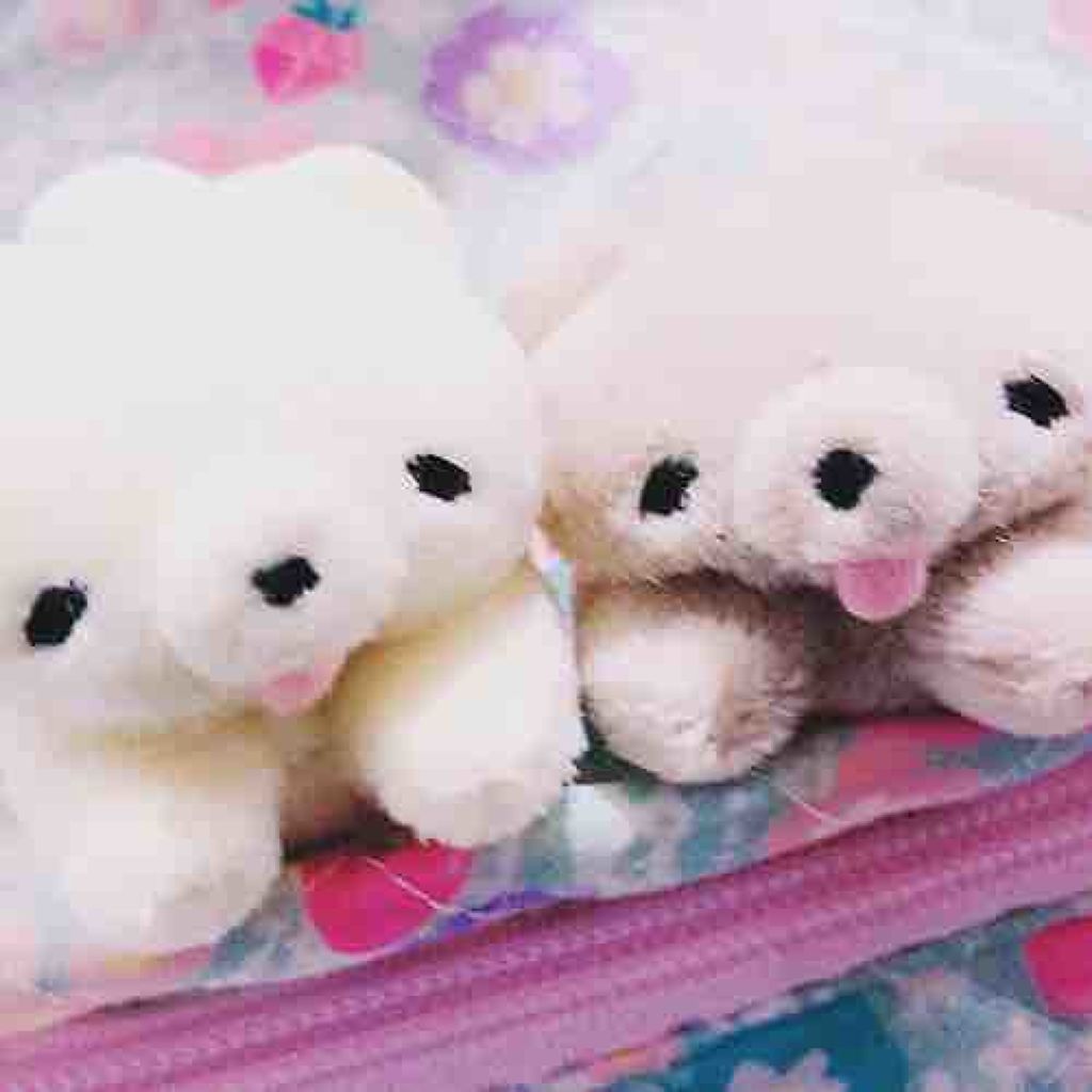 1万人目指す(*ơᴗơ)