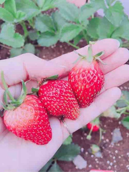 chaton₊✼̥୭*ˈ