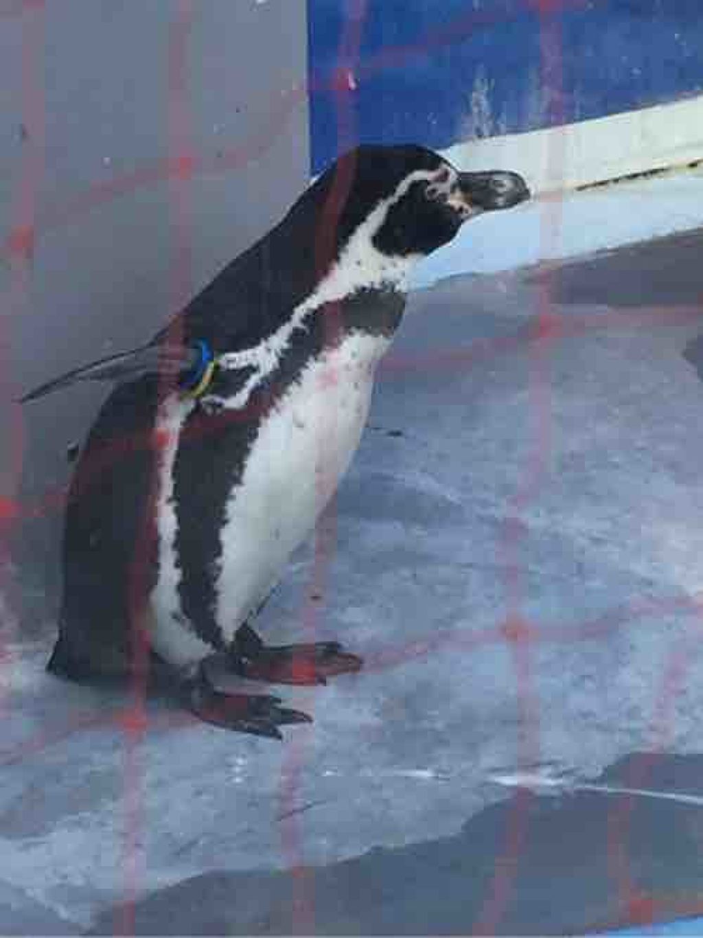 ひびきどうふ。