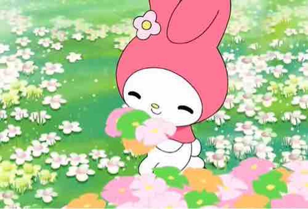 ‪❤︎honopi‪❤︎