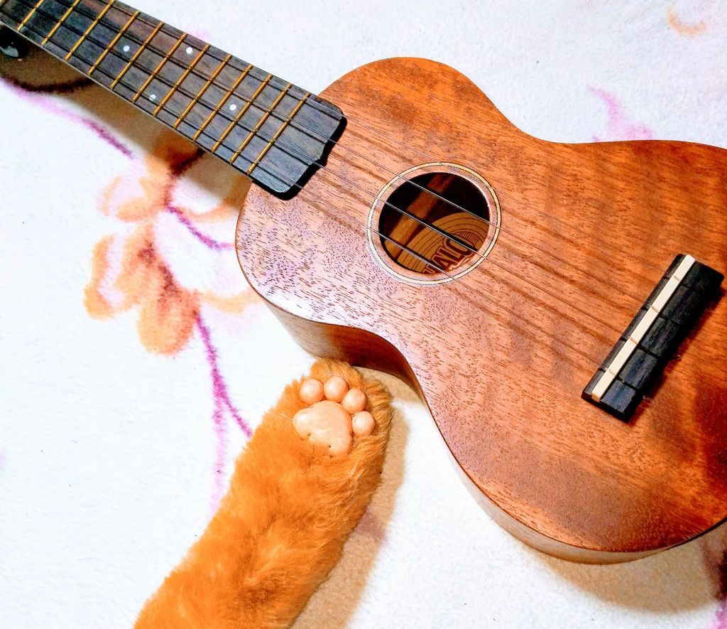 稲猫（とうびょう）