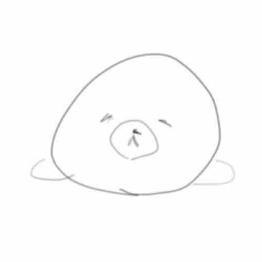 かわいいアザラシちゃん