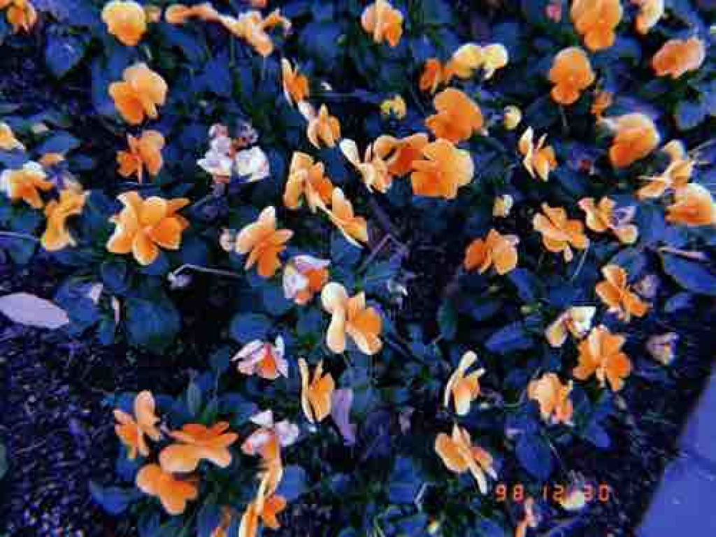 まっちゃん☁️