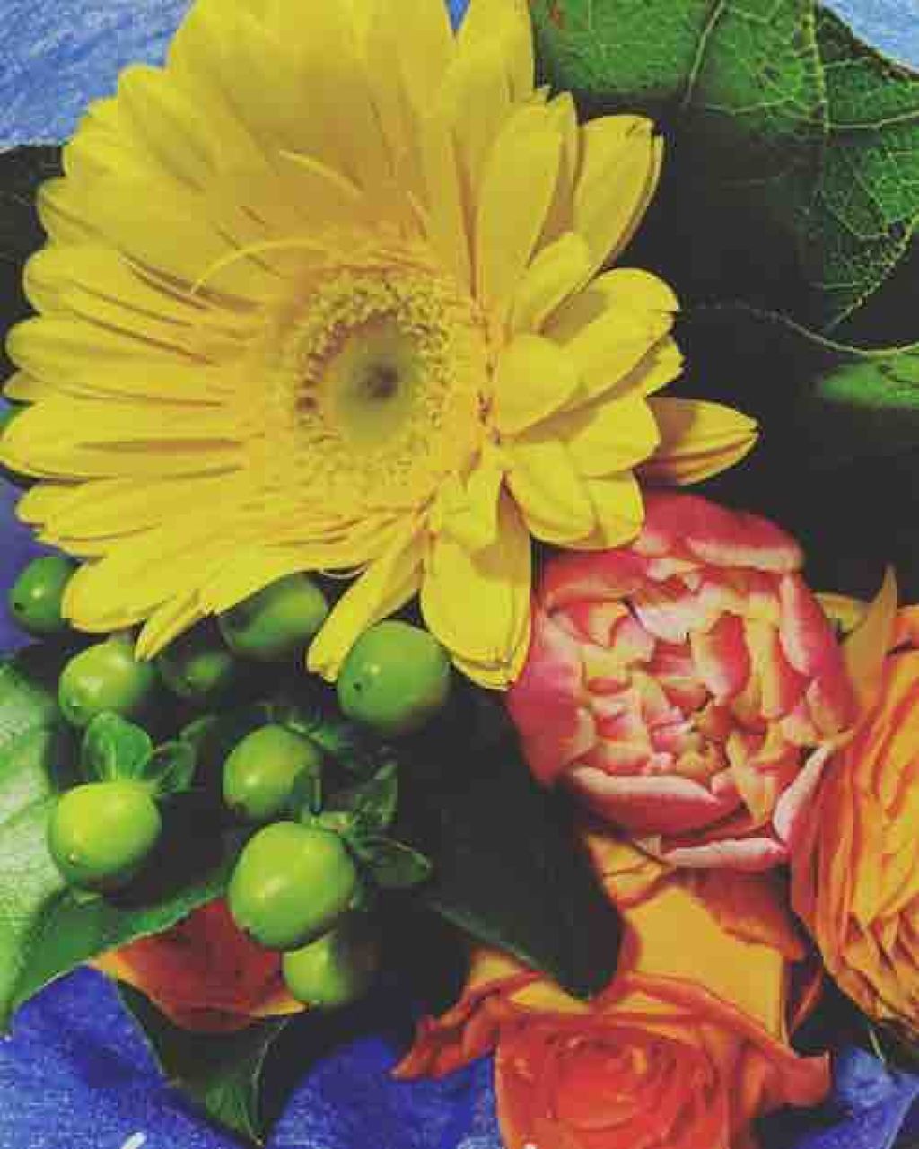 おもちが好き子