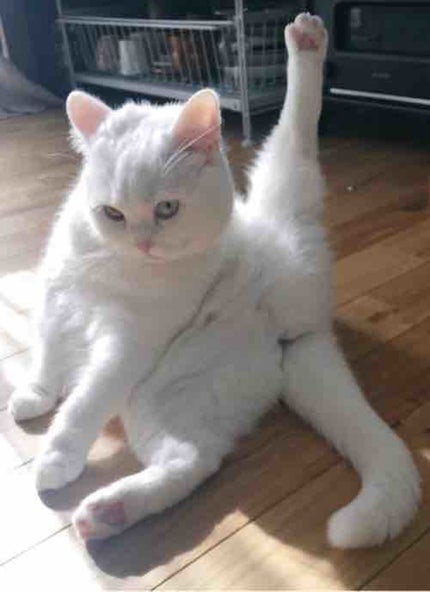 mim