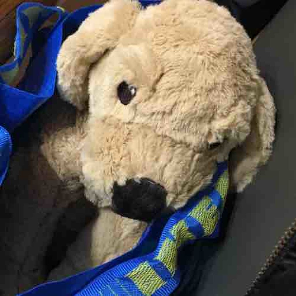 しゅーくりーむ