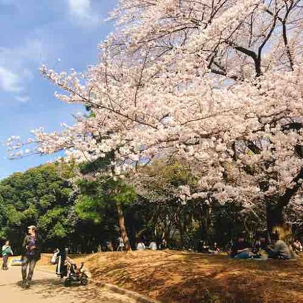 夜更かしやめたい