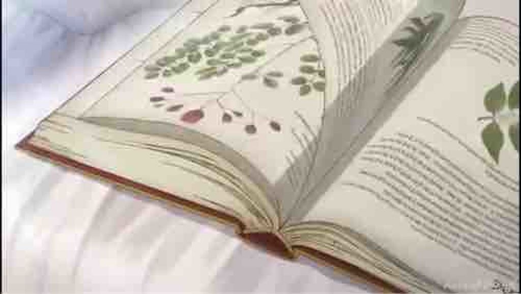 🌙.*·̩͙ ﾙﾅᵕ̈* 