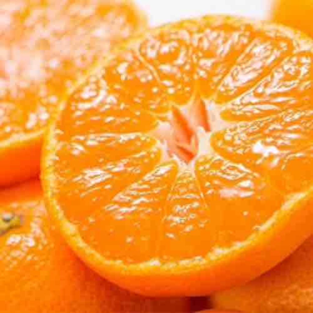 ｺｽﾓｽ🍊みかん