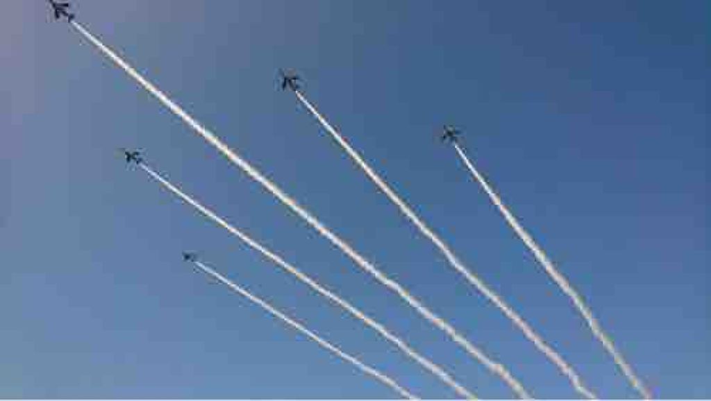 yさん家のきみにゅんご.