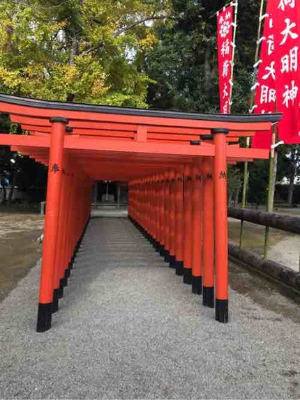 裏