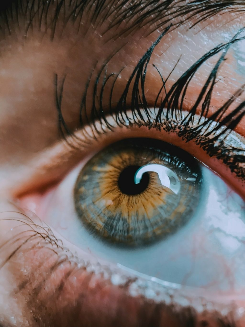 【🌿】 ぺ ぱ ー み ん と 。