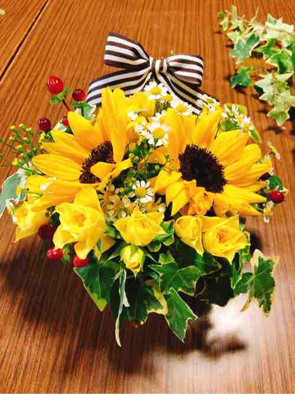 ⸜❤︎⸝‍  心菜の部屋 ⸜❤︎⸝‍