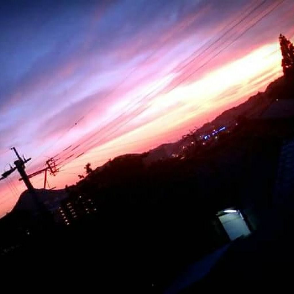 まめ まめこ🐥