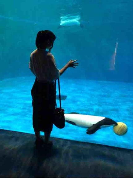 兎の谷のチモシー