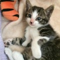 まーーーな💛