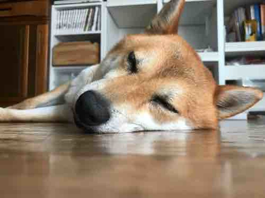 sparkle_perfume_u51c