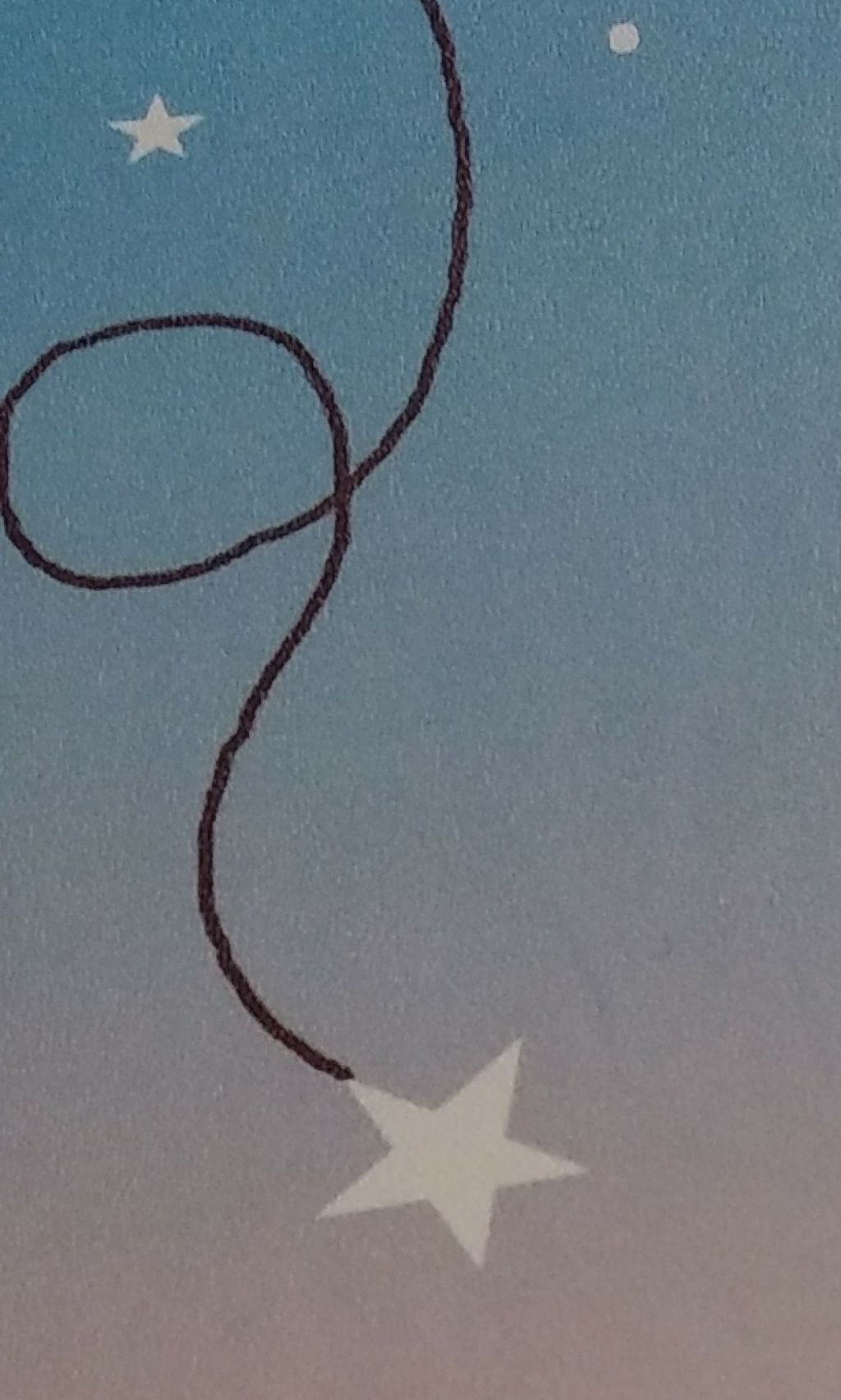 😼るうち🐾🐾