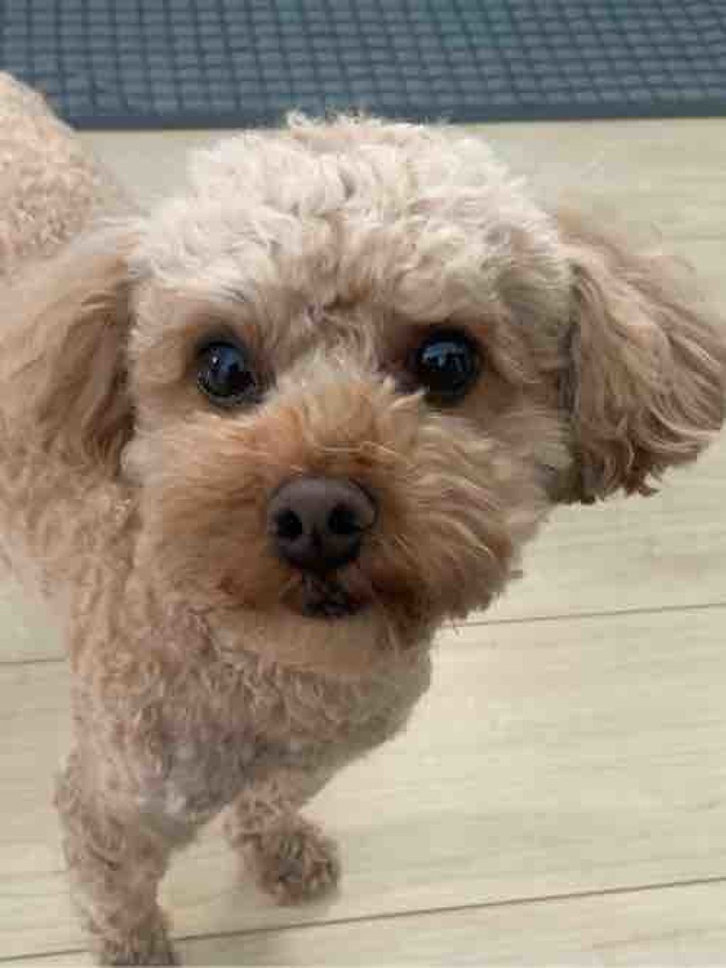 リップオタクちゃん