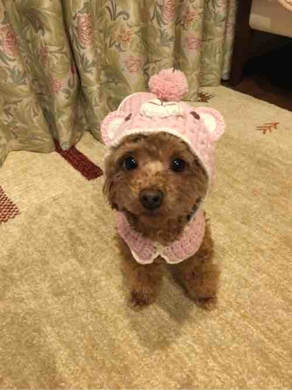 とーとーアラフォー