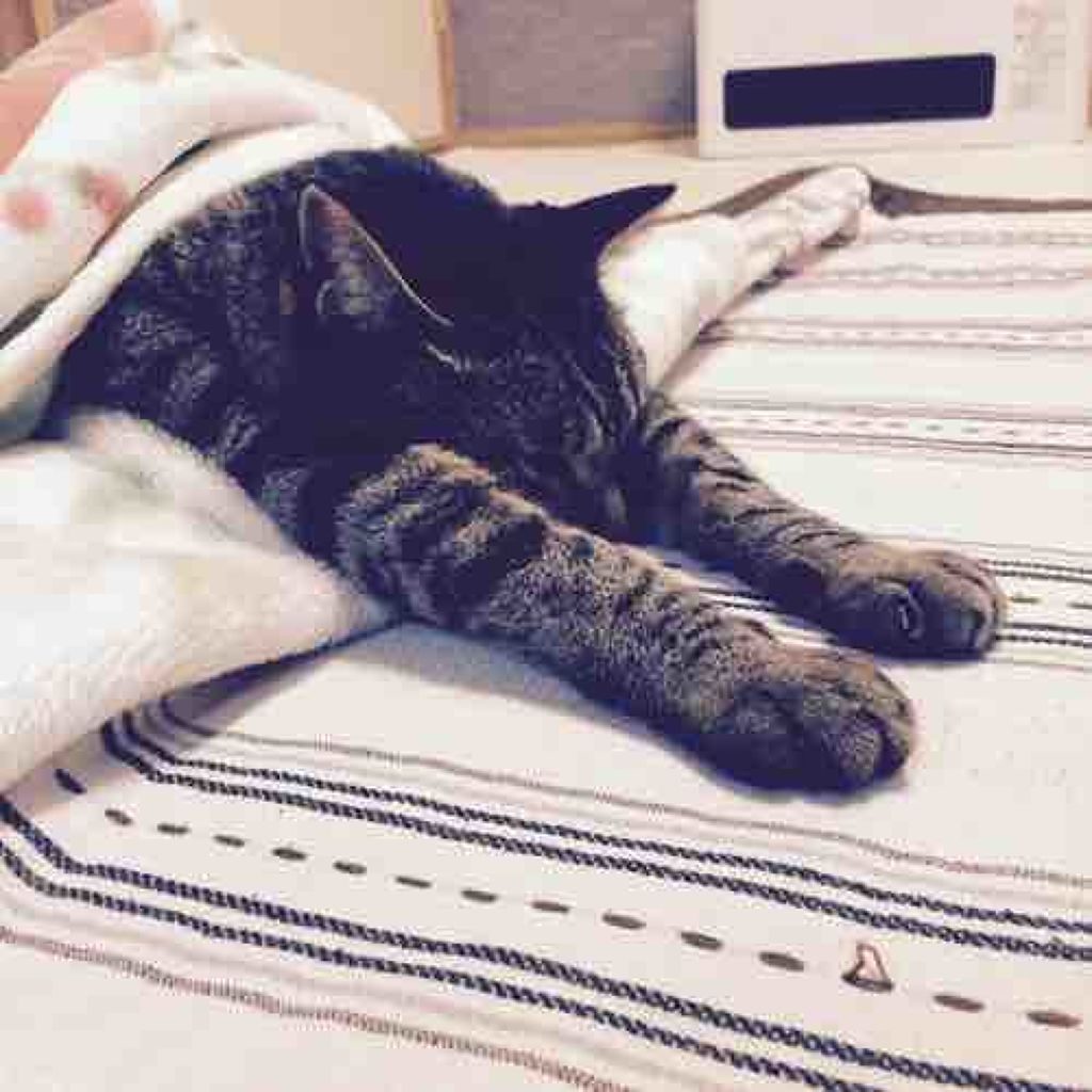 さんかくさん▲