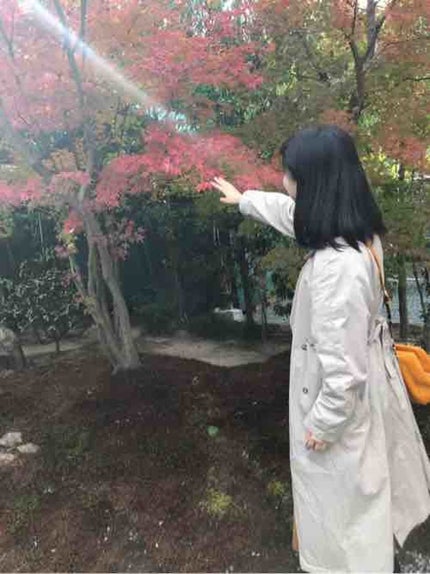 湯豆腐
